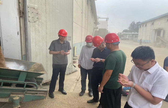 局黨組書記、局長蔣超督導(dǎo)省市級儲備糧收購、項目建設(shè)工作