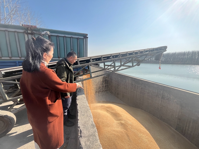 “黨建領(lǐng)航，守護(hù)糧安”淮糧集團(tuán)開展特色品牌黨建活動